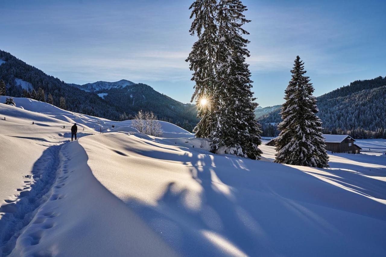 Hubertus Mountain Refugio Allgaeu 巴尔德赫旺 外观 照片
