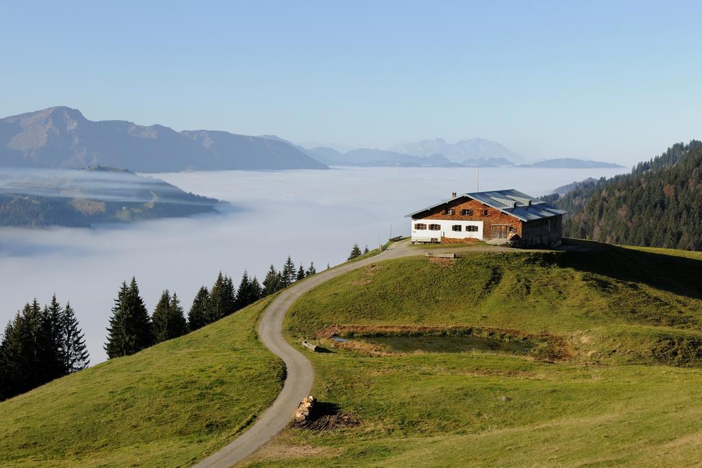 Hubertus Mountain Refugio Allgaeu 巴尔德赫旺 外观 照片