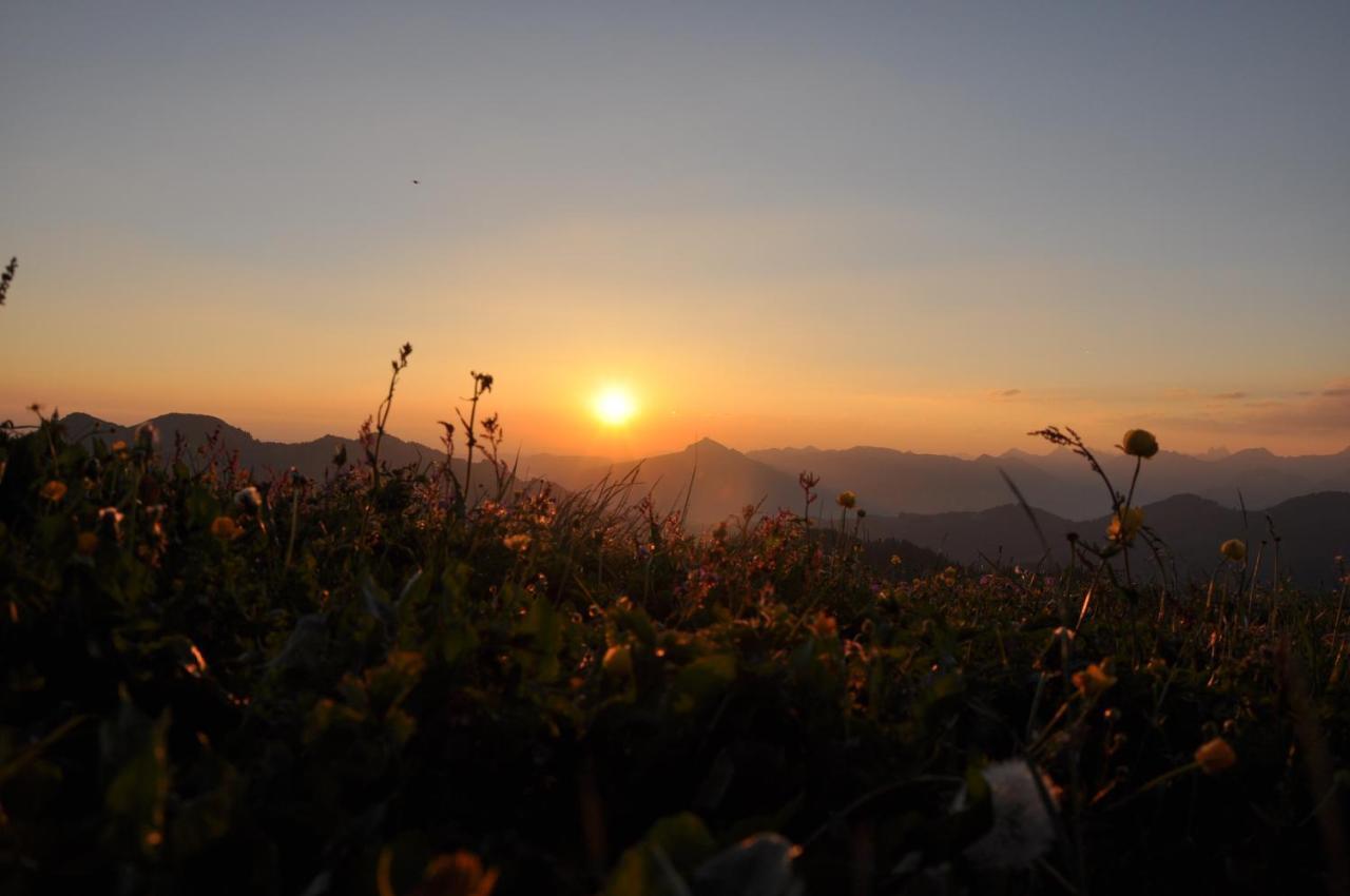 Hubertus Mountain Refugio Allgaeu 巴尔德赫旺 外观 照片